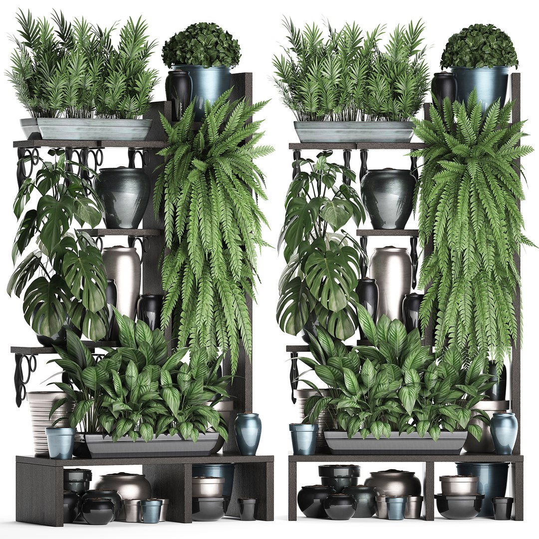 3D vertical exotic plants model https://p.turbosquid.com/ts-thumb/Ix/Y4sNp4/PnLvWAet/plant1508201901/jpg/1565969365/1920x1080/fit_q87/90312914fecf7930c68e2f068c93a5674b725b8d/plant1508201901.jpg
