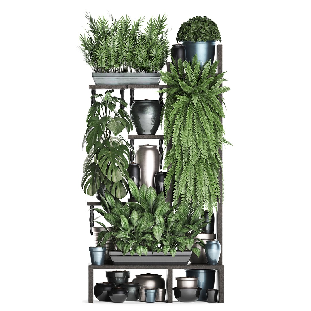 3D vertical exotic plants model https://p.turbosquid.com/ts-thumb/Ix/Y4sNp4/ZyCN2Iia/plant1508201902/jpg/1565969365/1920x1080/fit_q87/76842d6f2653a5d94889b86dd811ef0b8e282875/plant1508201902.jpg