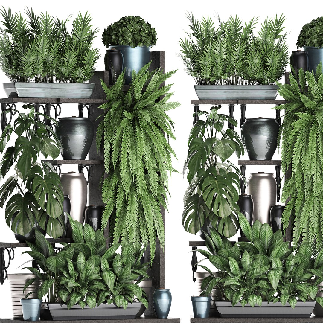 3D vertical exotic plants model https://p.turbosquid.com/ts-thumb/Ix/Y4sNp4/gCuzKOoo/plant1508201905/jpg/1565969365/1920x1080/fit_q87/a48206e7ead08a710ca0aa5d417905140aeb8a17/plant1508201905.jpg