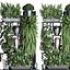 收集外来植物371