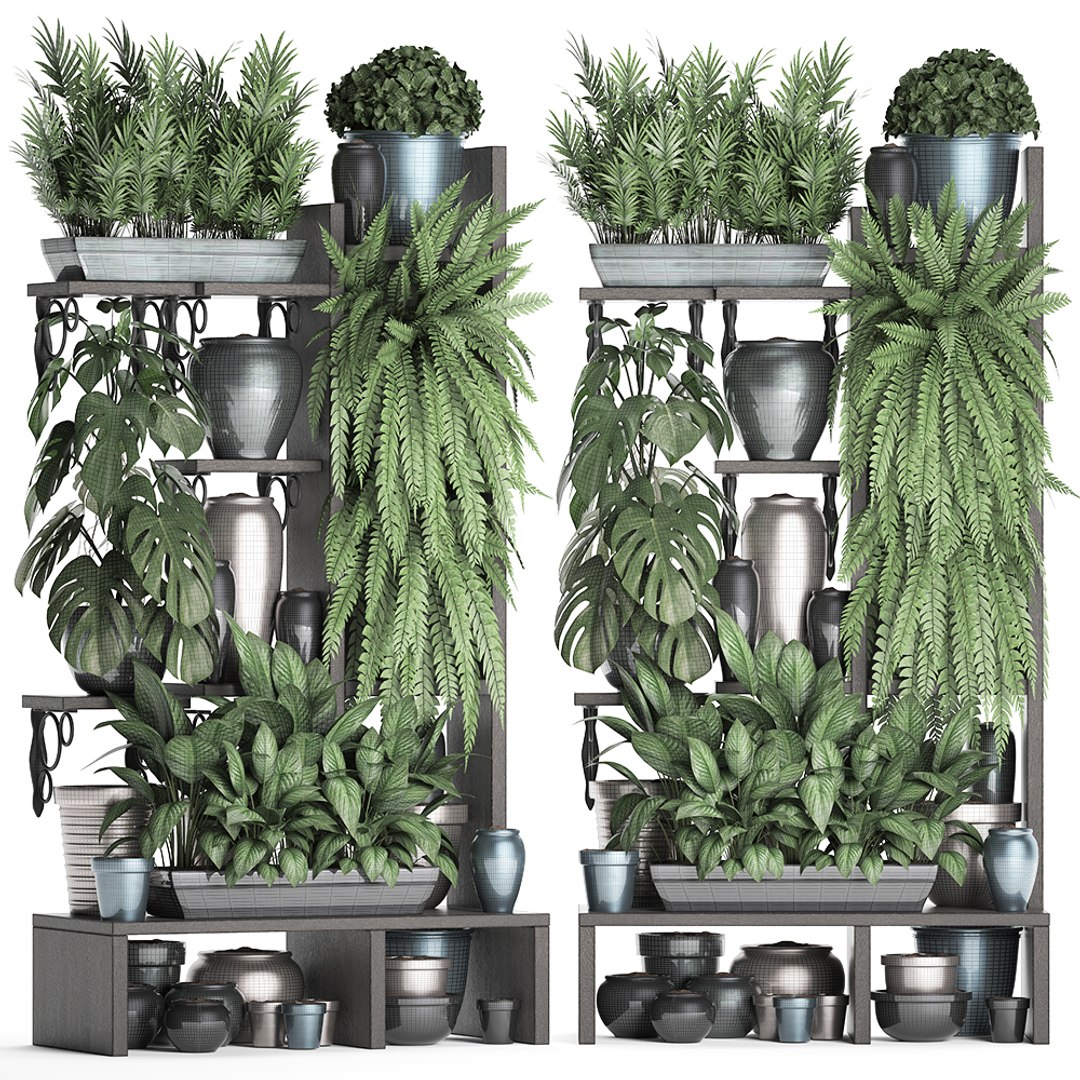 3D vertical exotic plants model - TurboSquid 1437646