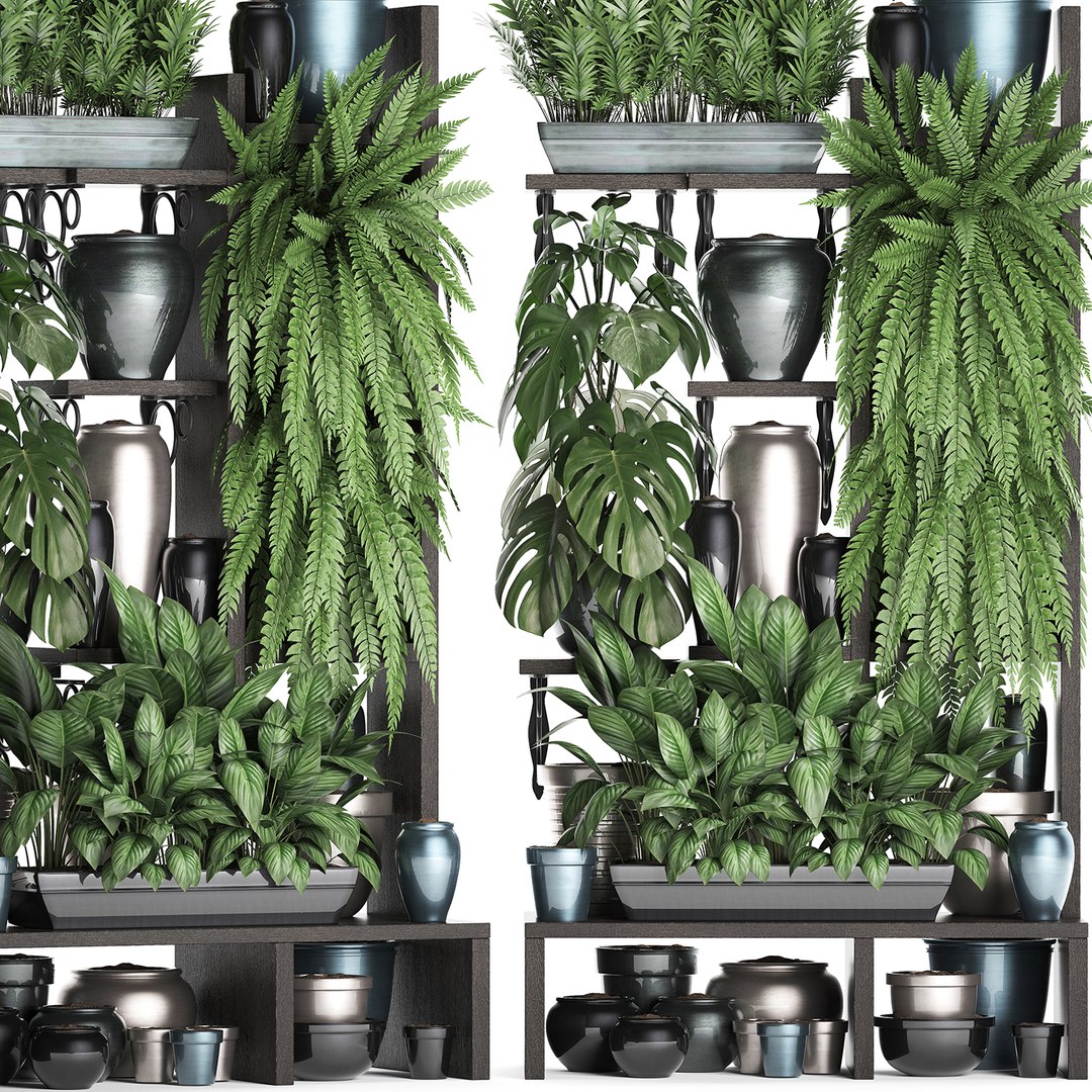 3D vertical exotic plants model https://p.turbosquid.com/ts-thumb/Ix/Y4sNp4/nYSls6Zn/plant1508201904/jpg/1565969365/1920x1080/fit_q87/6c84d8c91c670c9f542e0e40153e7f500e080475/plant1508201904.jpg