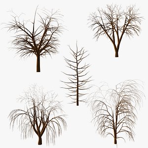 Five Trees 3D model