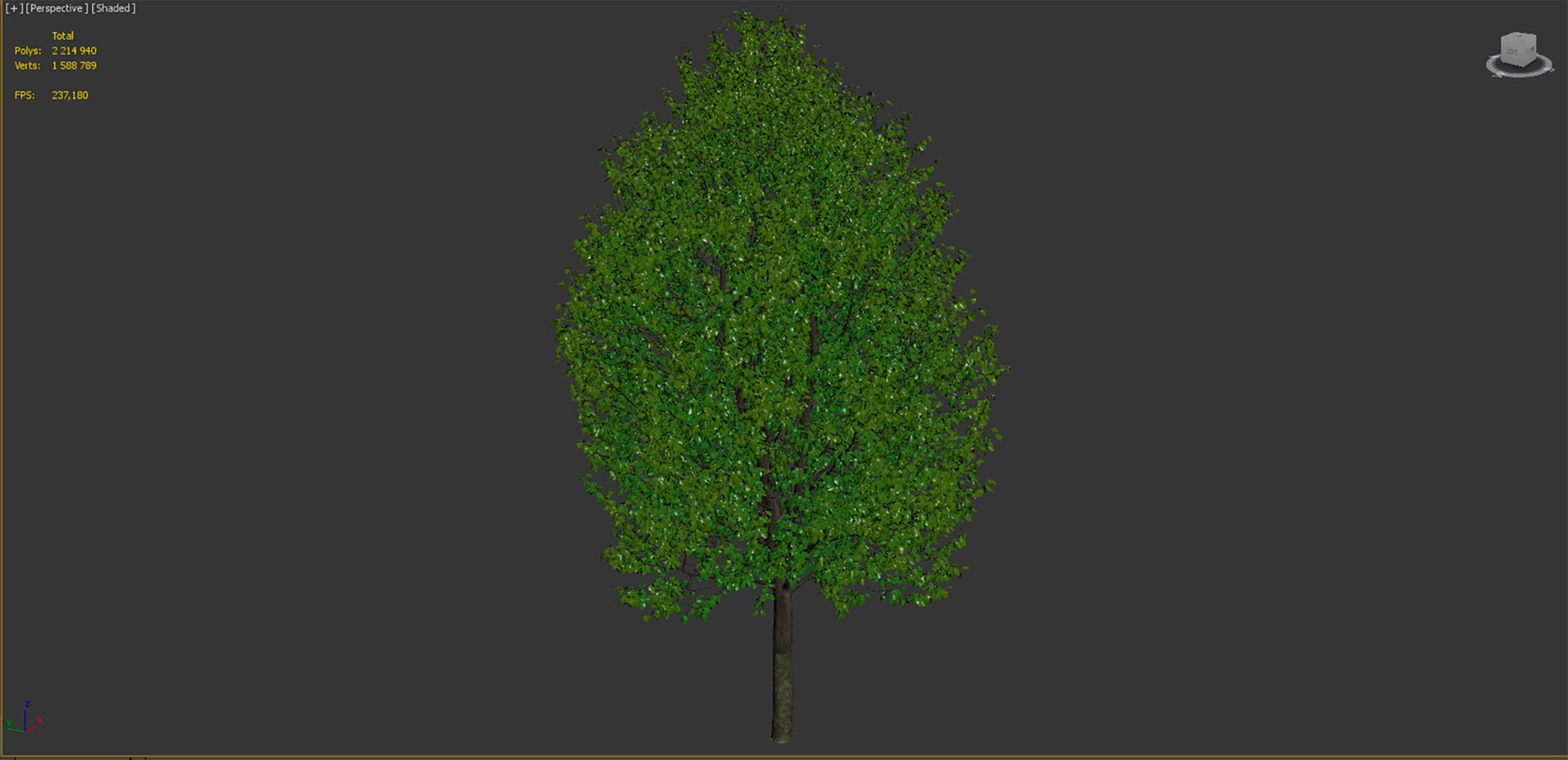 3D tilia greenspire model https://p.turbosquid.com/ts-thumb/Ix/z5C3Vi/dR/1t/jpg/1615011551/1920x1080/fit_q87/01b37815f7bb70db7f57859436854edc48905206/1t.jpg