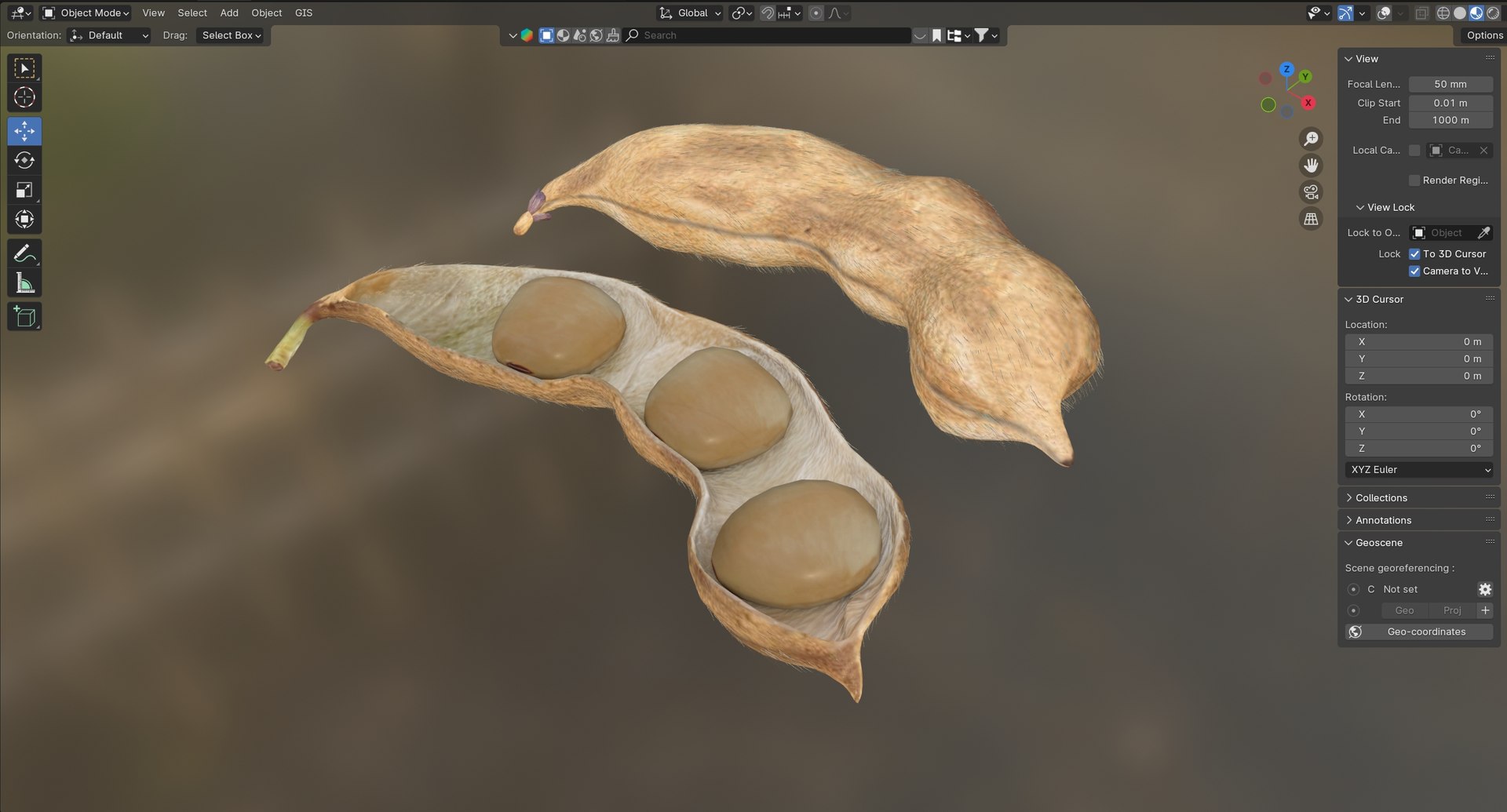 Soybean seed pod dried 3D https://p.turbosquid.com/ts-thumb/Iy/6advRr/xy/8/jpg/1745466071/1920x1080/fit_q87/f1c0c25c1baea2510d1309e537f9586a2c5006b7/8.jpg