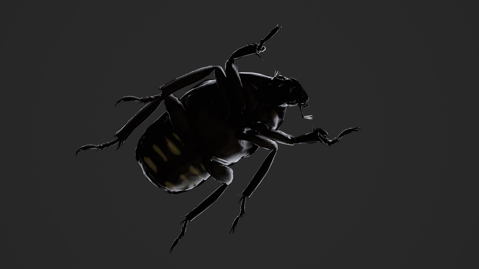 Spotted Chafer Beetle Protaetia brevitarsis 3D model https://p.turbosquid.com/ts-thumb/Iy/DhK9Gd/8S/untitled_005/png/1764409128/1920x1080/fit_q87/d3810a52711949c66ae866eb7effbaf4fb40093d/untitled_005.jpg