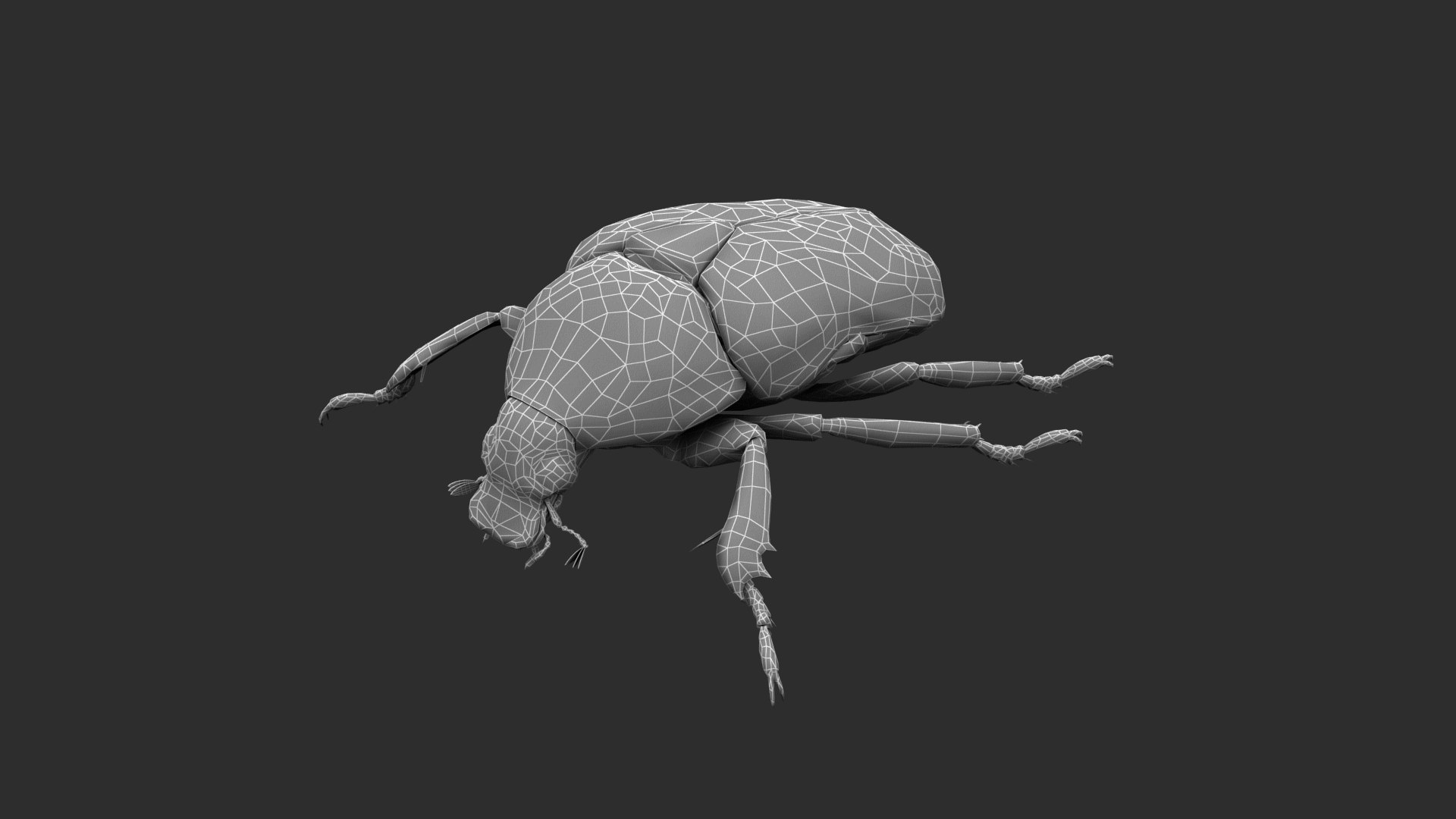 Spotted Chafer Beetle Protaetia brevitarsis 3D model https://p.turbosquid.com/ts-thumb/Iy/DhK9Gd/pv/001/png/1764409124/1920x1080/fit_q87/d03e4c8f5f9ce4cbc7ed12d3a9b04a90079bdf6d/001.jpg