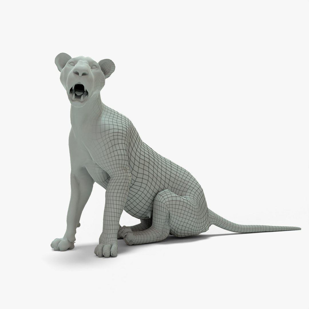 modelo 3d Malla base aparejada Leona TurboSquid 2064486