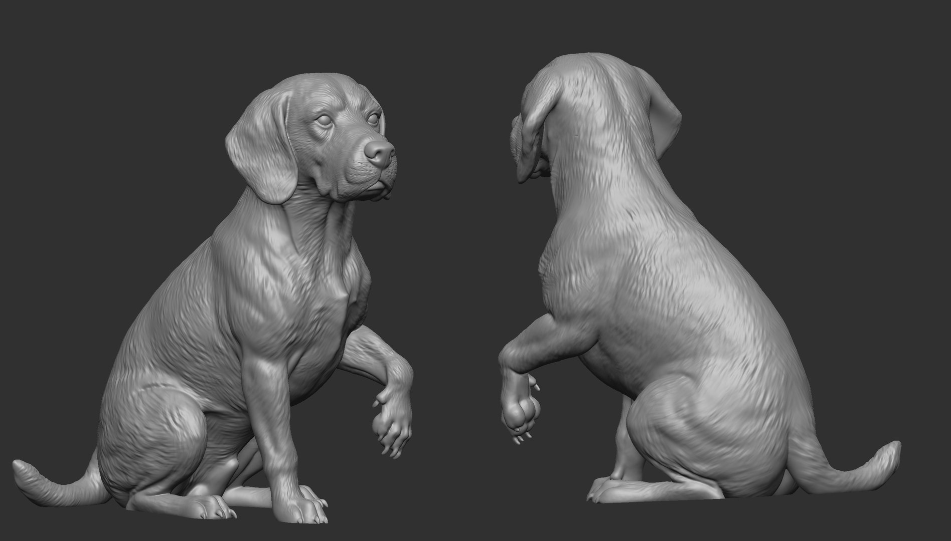 3D model 3D Printable Dog Pack https://p.turbosquid.com/ts-thumb/Iy/M3Xza4/Dl/224/jpg/1786564738/1920x1080/fit_q87/8546b4d0ed3c5a9326a01256cc93adb6cfc53538/224.jpg