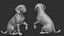 Zaino per cani stampabile in 3D