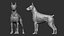 Zaino per cani stampabile in 3D