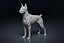 Zaino per cani stampabile in 3D