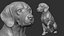 Zaino per cani stampabile in 3D