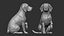 Zaino per cani stampabile in 3D