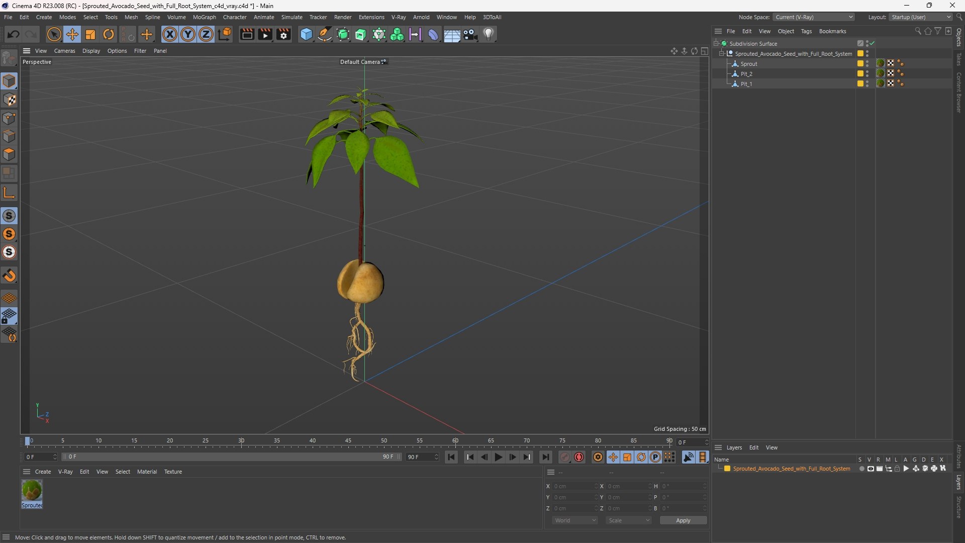 3D model Sprouted Avocado Seed with Full Root System https://p.turbosquid.com/ts-thumb/Iy/OpsuRa/Oc/sprouted_avocado_seed_with_full_root_system_1003/jpg/1758129356/1920x1080/fit_q87/415eeceeb329fa936d99d1879846d7e6d74115db/sprouted_avocado_seed_with_full_root_system_1003.jpg