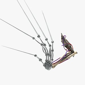 Prototype Hand 3D model