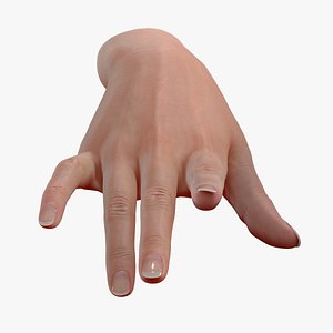 Realistic Female Hand - source file