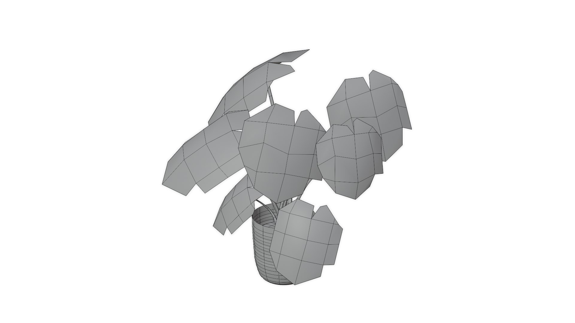 Monstera Plant 3D model https://p.turbosquid.com/ts-thumb/Iy/bQJlMX/Oe/wireframe2/png/1634252242/1920x1080/fit_q87/a1f2b242a00fb0227e72acf237ef415281b09890/wireframe2.jpg