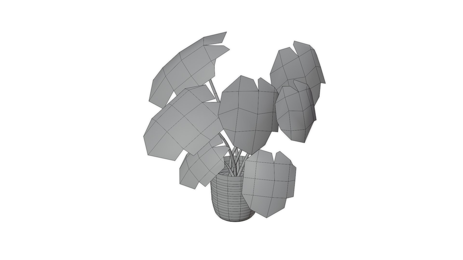 Monstera Plant 3D model https://p.turbosquid.com/ts-thumb/Iy/bQJlMX/Sv/wireframe1/png/1634252241/1920x1080/fit_q87/541cc8a5a1df260a44dc4a71eec50cc2e7d95efa/wireframe1.jpg