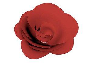 rose flower head 3d model