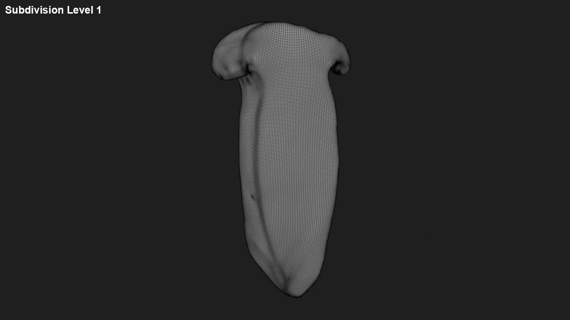 King Trumpet Slice model https://p.turbosquid.com/ts-thumb/Iy/hcaSvs/1l/kgtrumpetslice_g0002/jpg/1722948859/1920x1080/fit_q87/7e18827b5abb6053dd0630c30ed312fa8a4a19f7/kgtrumpetslice_g0002.jpg