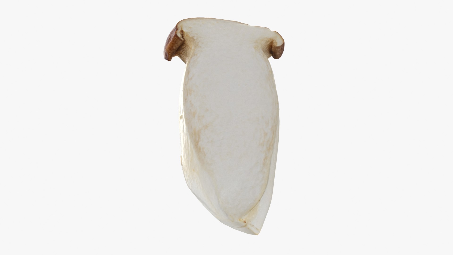 King Trumpet Slice model https://p.turbosquid.com/ts-thumb/Iy/hcaSvs/6j/kgtrumpetslice_b0022/jpg/1722948857/1920x1080/fit_q87/87ff96250a3469c0e0ead7ef37f423c7ac5f1218/kgtrumpetslice_b0022.jpg
