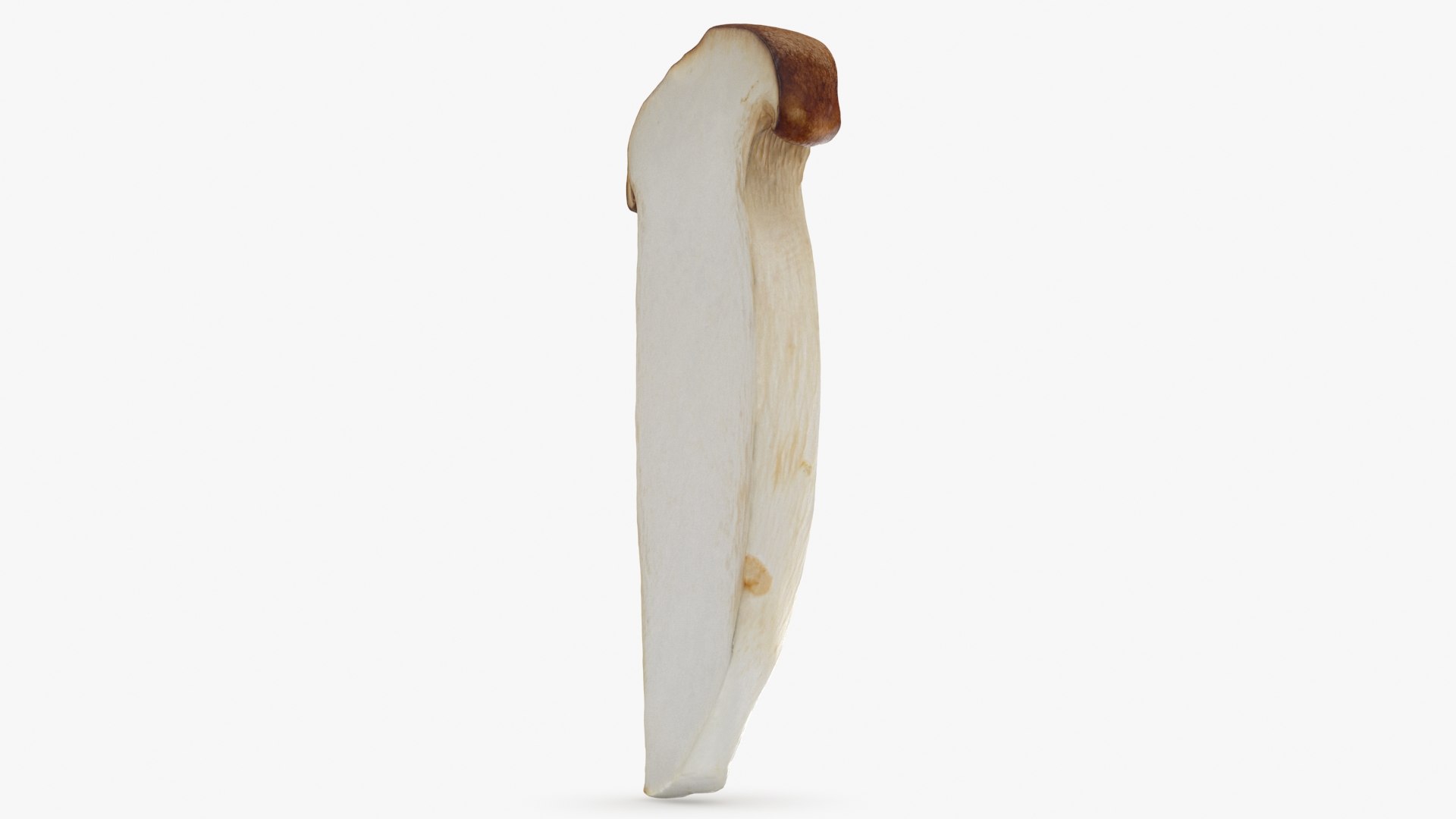 King Trumpet Slice model https://p.turbosquid.com/ts-thumb/Iy/hcaSvs/8e/kgtrumpetslice_b0010/jpg/1722948853/1920x1080/fit_q87/57cf176c143b88f175c7ab6dc9be6e8c2baebbd0/kgtrumpetslice_b0010.jpg