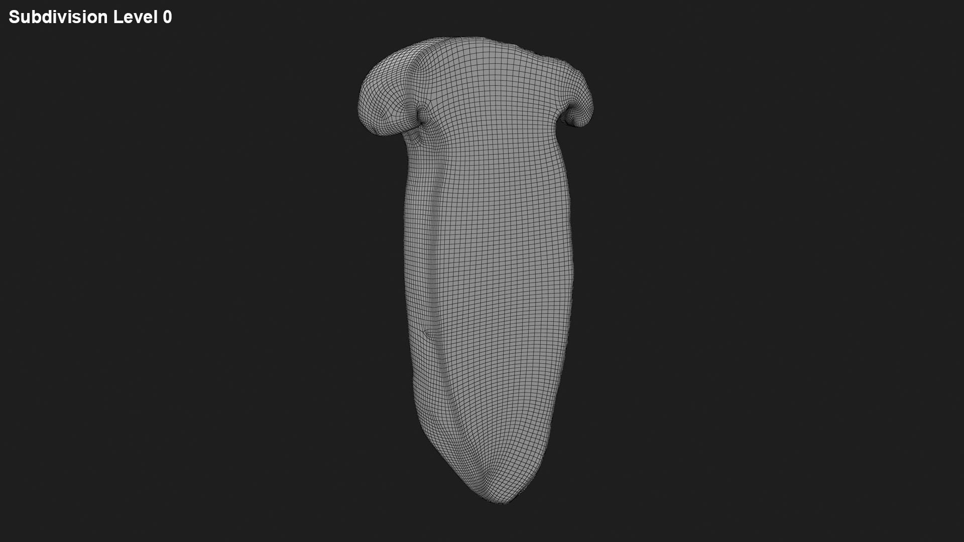 King Trumpet Slice model https://p.turbosquid.com/ts-thumb/Iy/hcaSvs/Dq/kgtrumpetslice_g0001/jpg/1722948859/1920x1080/fit_q87/9f46303956c936bc171073806b179da0e7194314/kgtrumpetslice_g0001.jpg