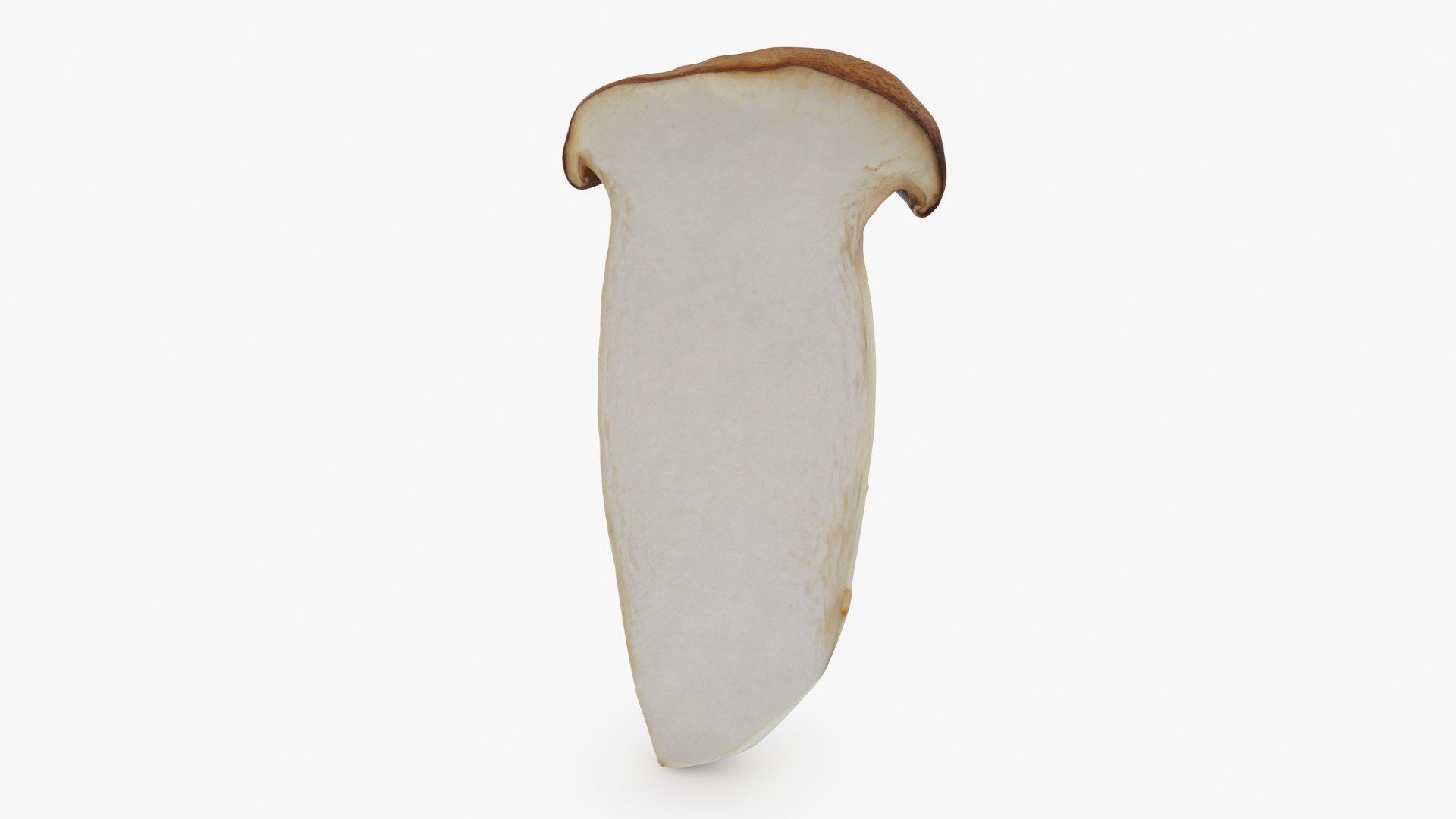 King Trumpet Slice model https://p.turbosquid.com/ts-thumb/Iy/hcaSvs/Ha/kgtrumpetslice_b0002/jpg/1722948851/1920x1080/fit_q87/7c6d1088aa83cd03687f29f25f802a82b94108b4/kgtrumpetslice_b0002.jpg