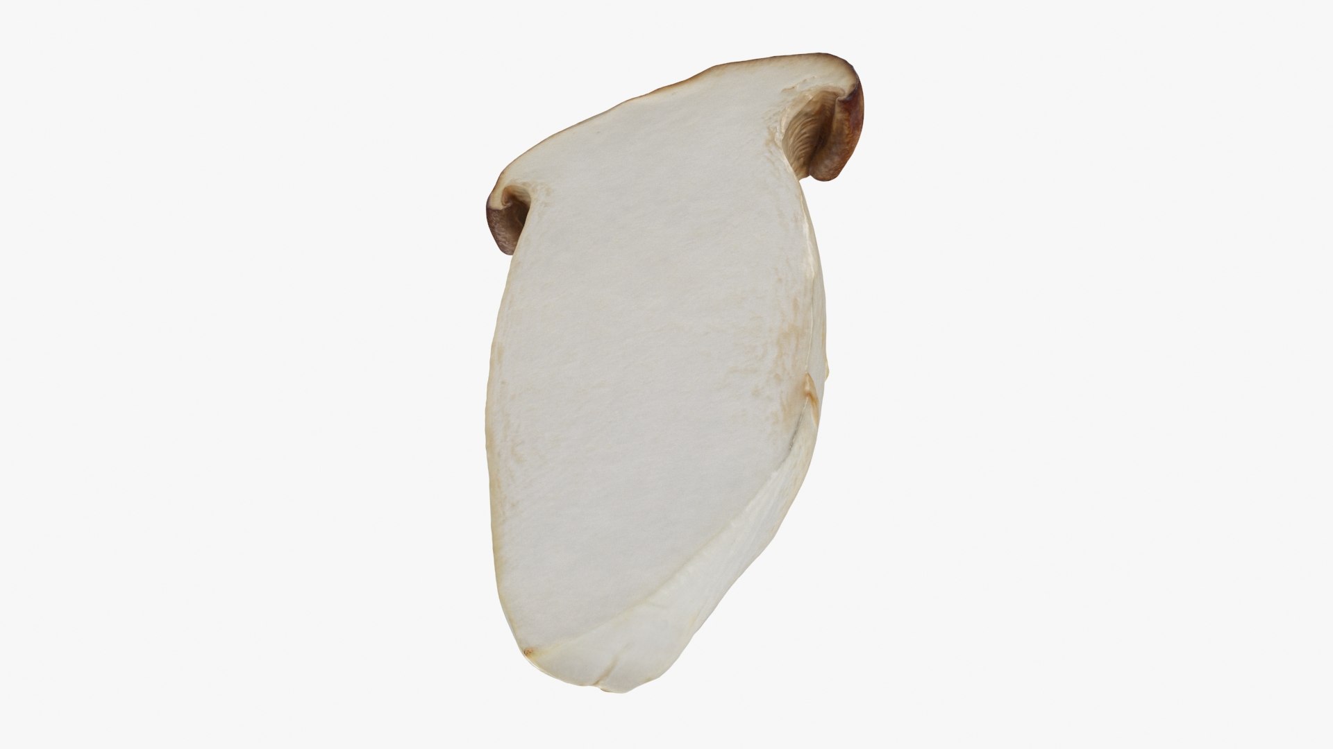 King Trumpet Slice model https://p.turbosquid.com/ts-thumb/Iy/hcaSvs/Of/kgtrumpetslice_b0020/jpg/1722948857/1920x1080/fit_q87/aaedd4e0e1acb033089d358aa52530384f824404/kgtrumpetslice_b0020.jpg