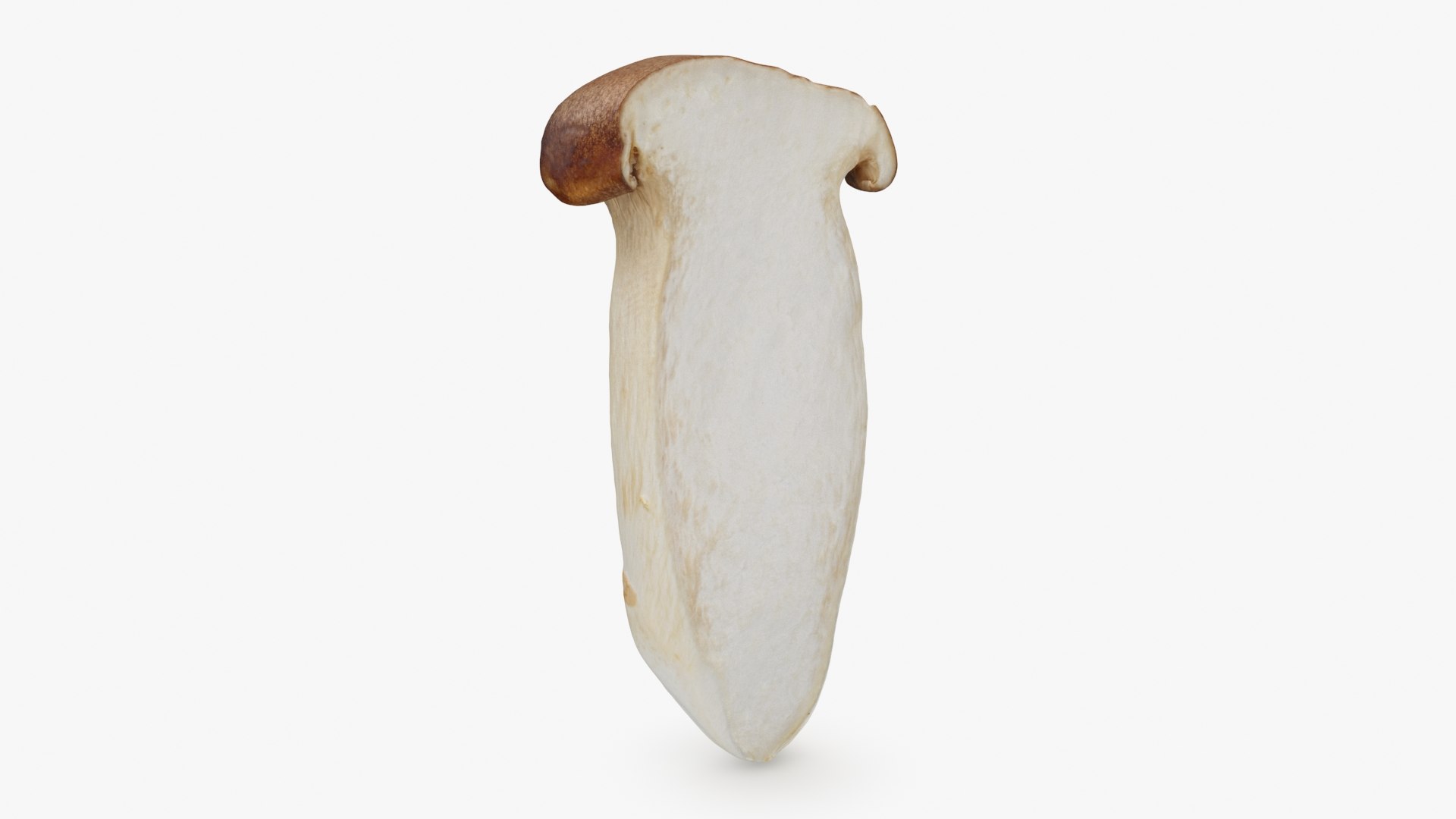 King Trumpet Slice model https://p.turbosquid.com/ts-thumb/Iy/hcaSvs/TN/kgtrumpetslice_b0000/jpg/1722948851/1920x1080/fit_q87/978693364697fd7c5f5734c939c26884843969d3/kgtrumpetslice_b0000.jpg