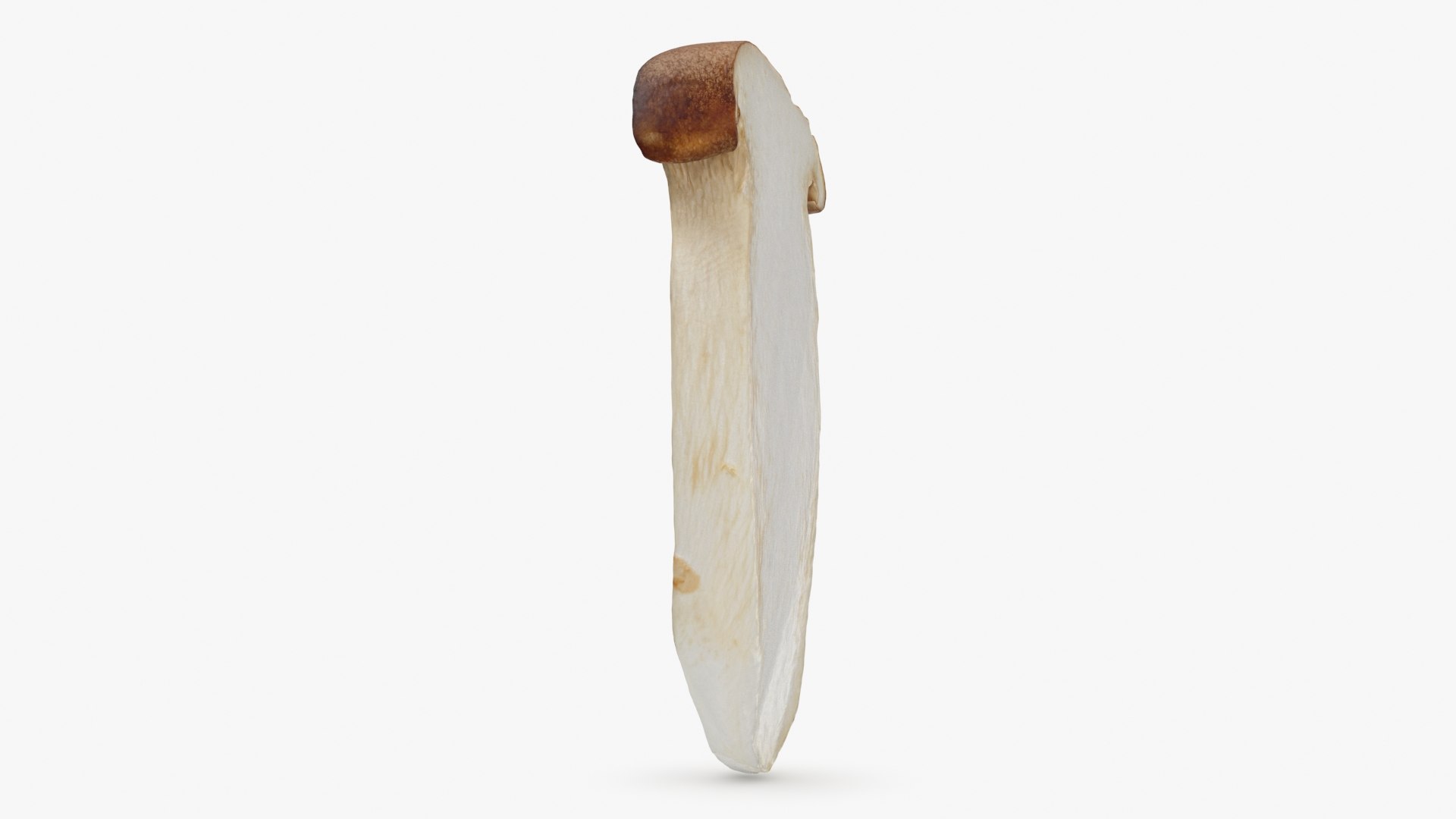 King Trumpet Slice model https://p.turbosquid.com/ts-thumb/Iy/hcaSvs/Ua/kgtrumpetslice_b0004/jpg/1722948852/1920x1080/fit_q87/2e5381d96a1a3efd4e81d3d64188f346f40eb4f8/kgtrumpetslice_b0004.jpg