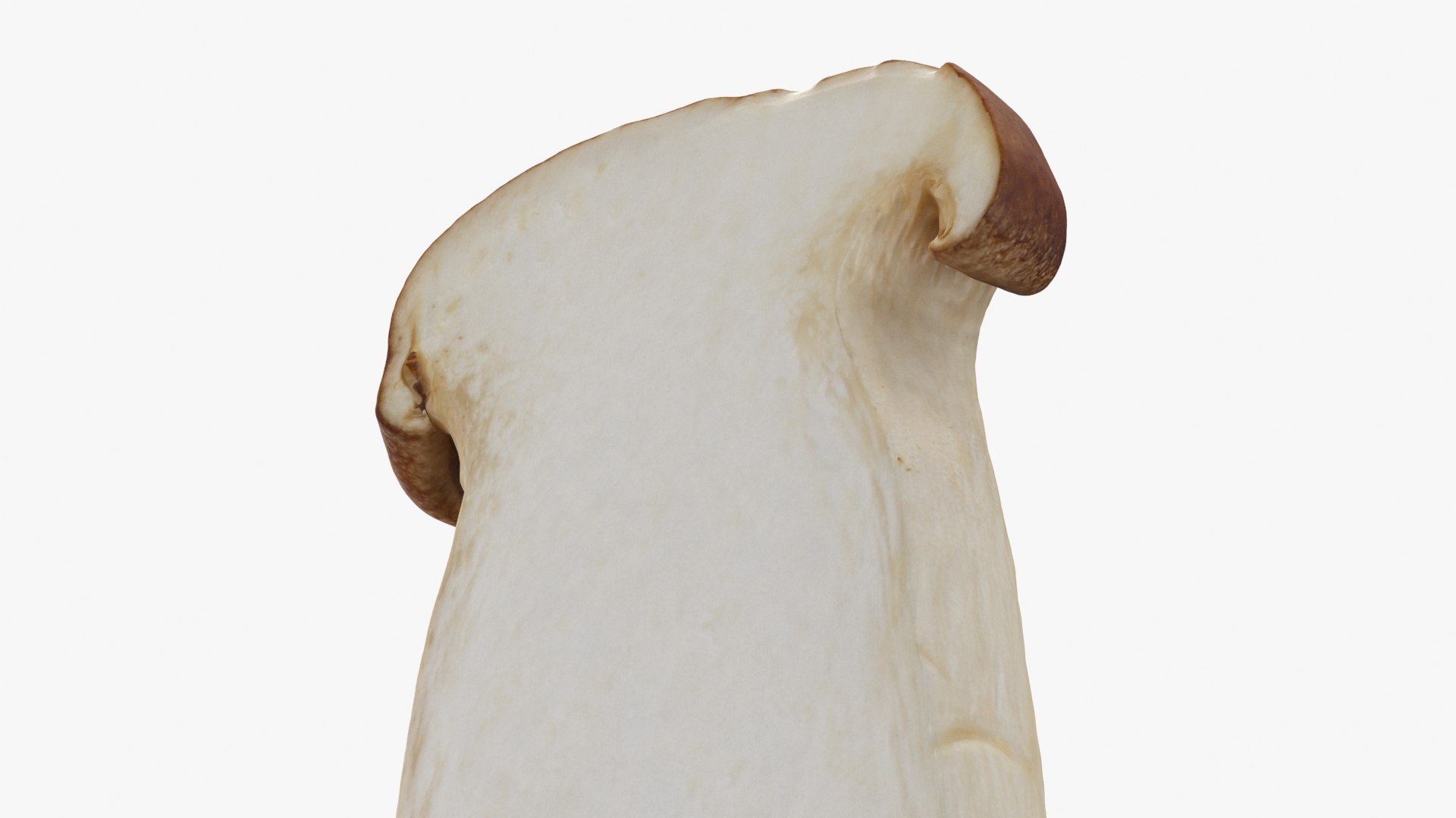 King Trumpet Slice model https://p.turbosquid.com/ts-thumb/Iy/hcaSvs/V9/kgtrumpetslice_b0018/jpg/1722948856/1920x1080/fit_q87/94b34de23d35da650460c14042cb66a86ccce757/kgtrumpetslice_b0018.jpg