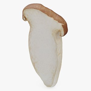 King Trumpet Slice model