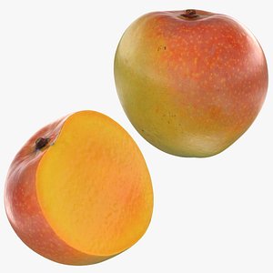 Mango 02 Collection 3D