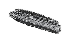 corn 3D CT scan model cut1 half decimae 5 percent 3D model