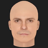 Low Poly Daniel Bruhl Head