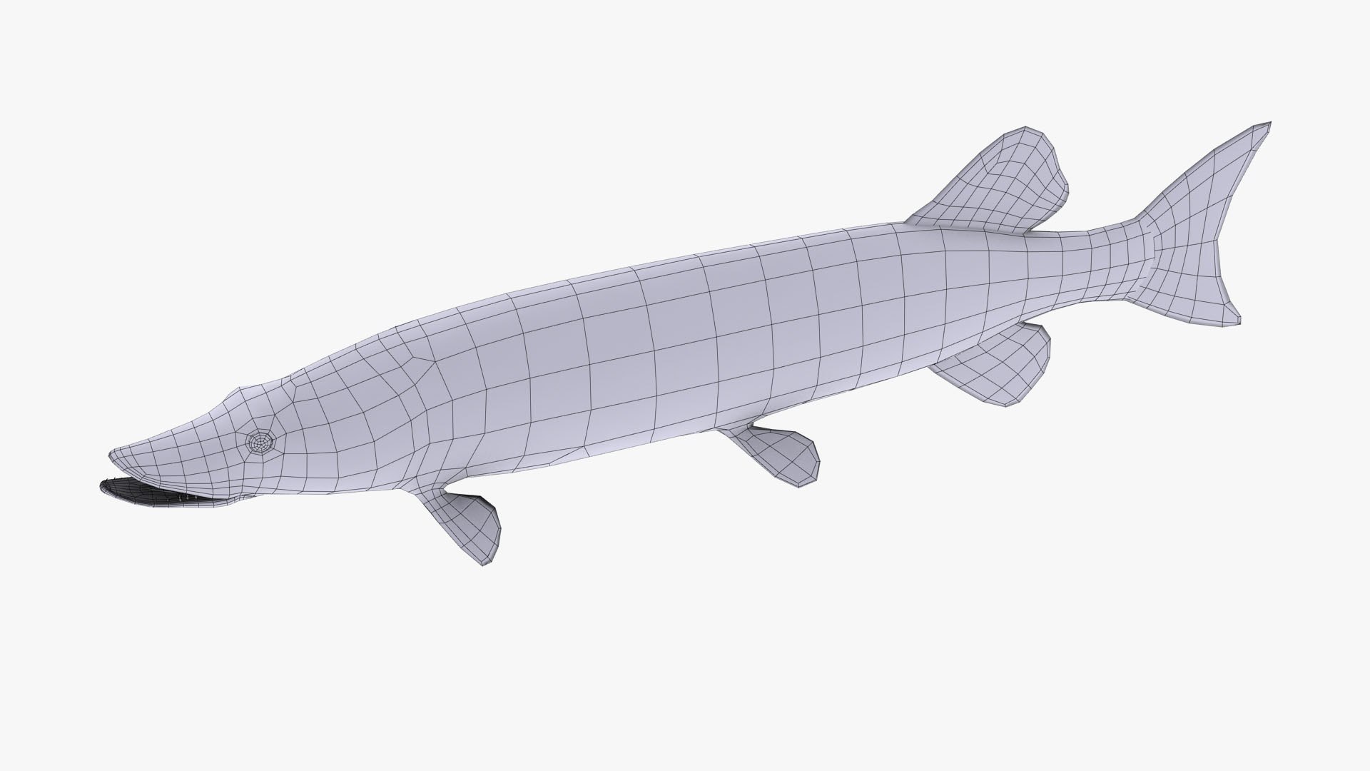 fish animal model https://p.turbosquid.com/ts-thumb/Iz/L98QZo/8AYaWf1I/esocidae_camera01_wire_thumbnail_6/jpg/1589823985/1920x1080/fit_q87/4975d16d1b1ce4ec0bdb2228315f7a6182acd50e/esocidae_camera01_wire_thumbnail_6.jpg