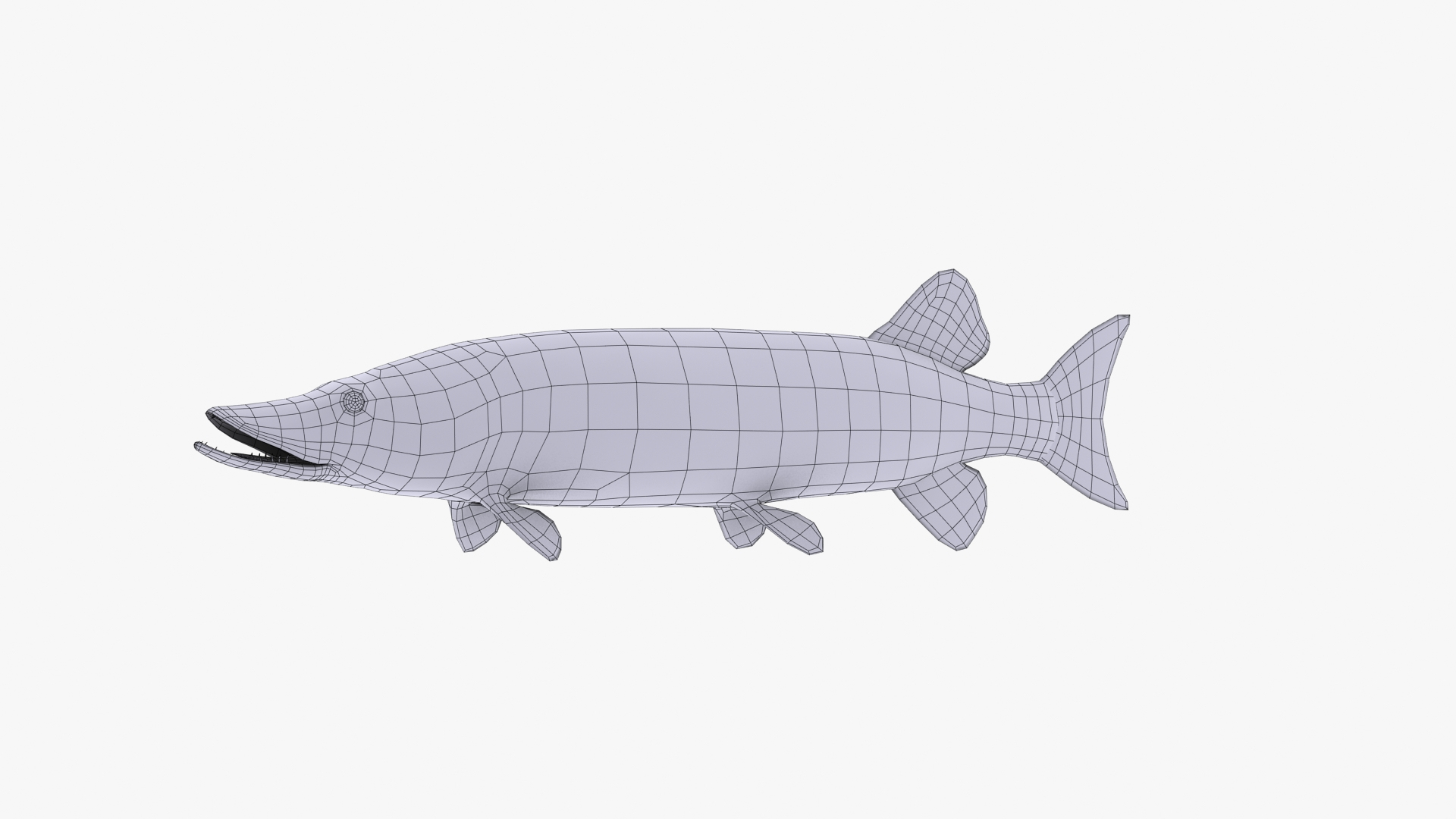 fish animal model https://p.turbosquid.com/ts-thumb/Iz/L98QZo/MJpDD916/esocidae_camera01_wire/jpg/1589824340/1920x1080/turn_fit_q99/703c2feb26e866418b3db9ae3543ece1cadb9f9f/esocidae_camera01_wire-1.jpg