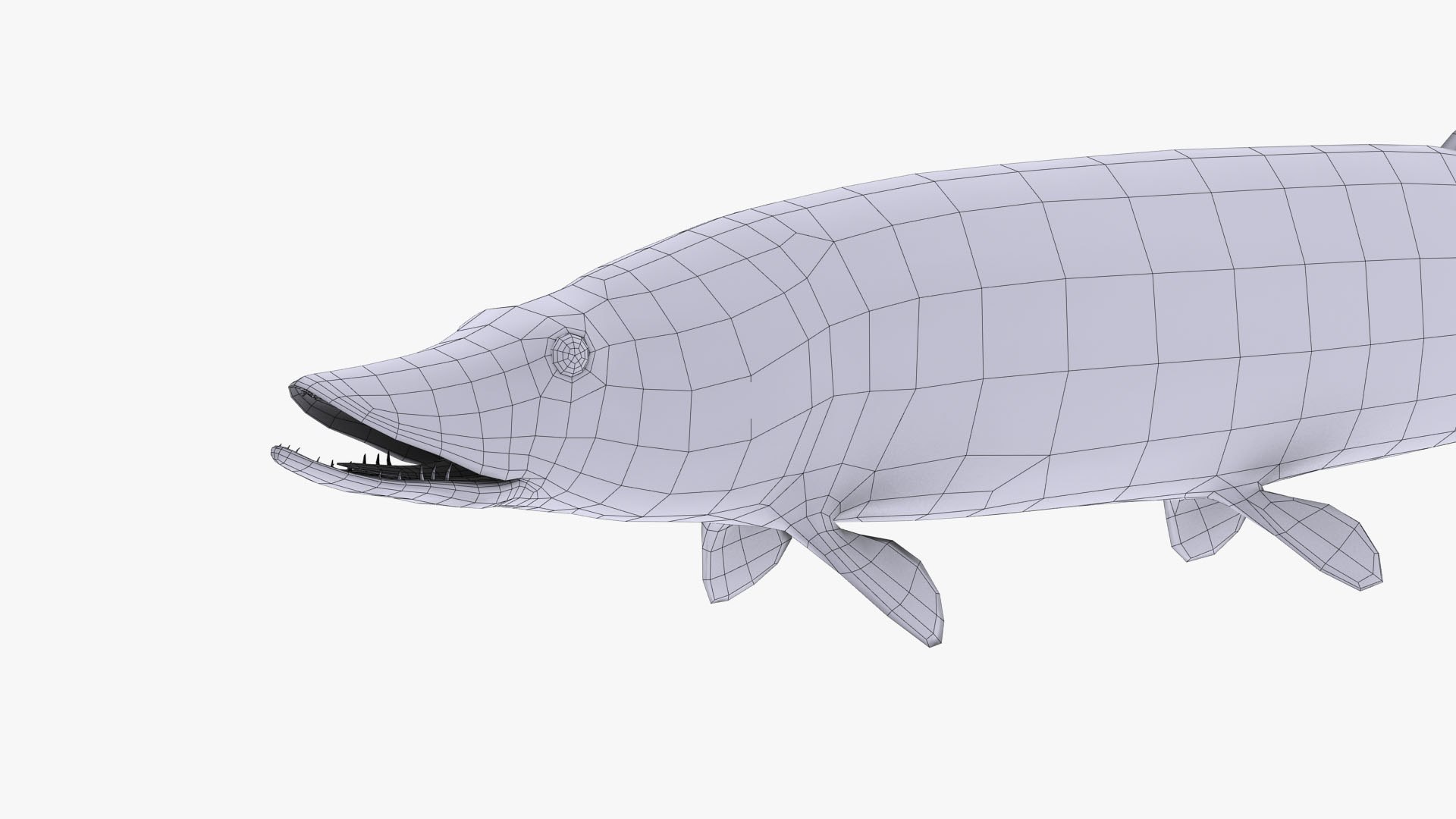 fish animal model https://p.turbosquid.com/ts-thumb/Iz/L98QZo/Whd8Z8Bo/esocidae_camera01_wire_thumbnail_8/jpg/1589823985/1920x1080/fit_q87/a9d8d8a911e567b31c09897e43955d9098c1971b/esocidae_camera01_wire_thumbnail_8.jpg