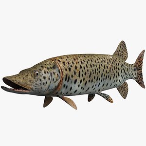fish animal model