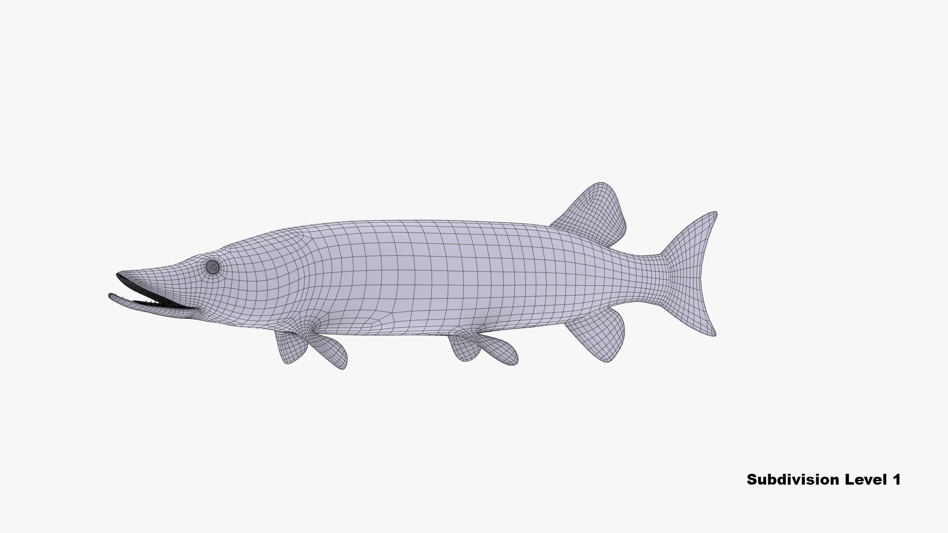 fish animal model https://p.turbosquid.com/ts-thumb/Iz/L98QZo/gtFPafke/esocidae_camera01_wire_thumbnail_5/jpg/1589823985/1920x1080/fit_q87/03f95d09a71ea75183cbb1f36fdf68d68a54d2cc/esocidae_camera01_wire_thumbnail_5.jpg