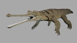 gavial gharial 3D model