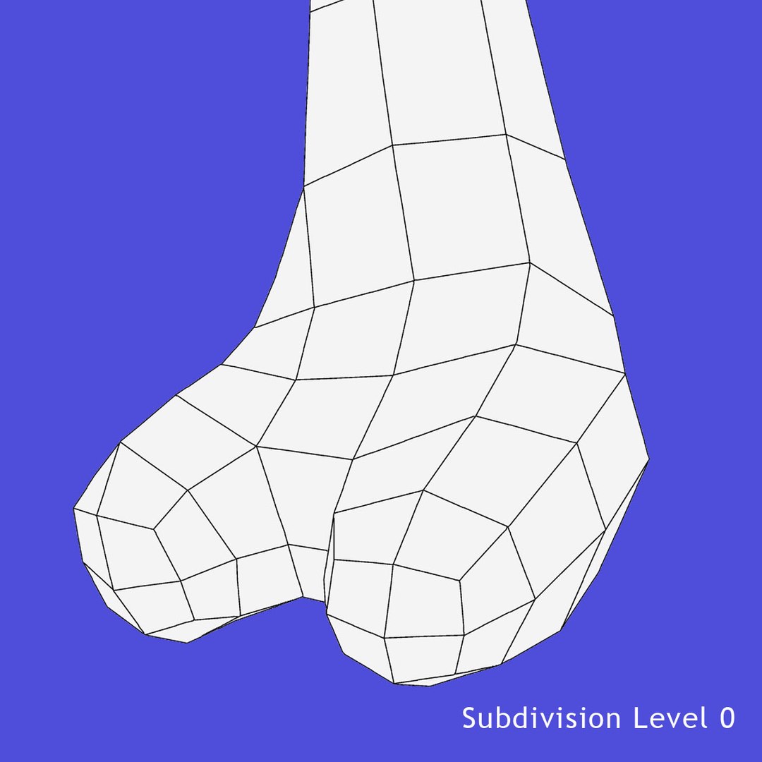 Skeleton Femur Leg Bones Fbx