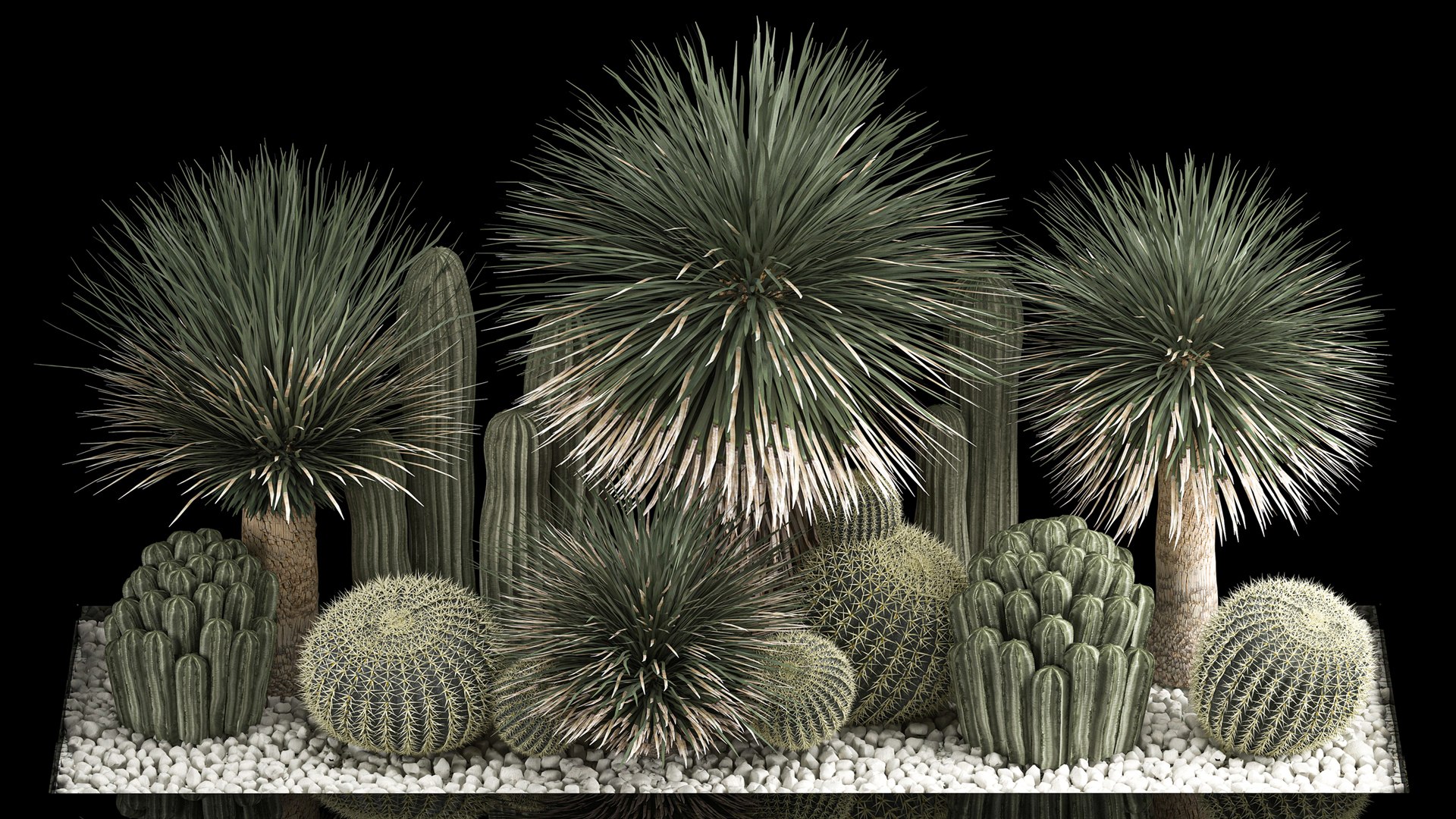 3D model Plants Desert Flowerbed With Cactus https://p.turbosquid.com/ts-thumb/Iz/jMiJWC/1y/1desertplants0806202206/jpg/1654769412/1920x1080/fit_q87/99c392529bd95cbcd56ef62096eb81f98ef8e545/1desertplants0806202206.jpg