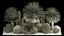 Plants Desert Flowerbed With Cactus