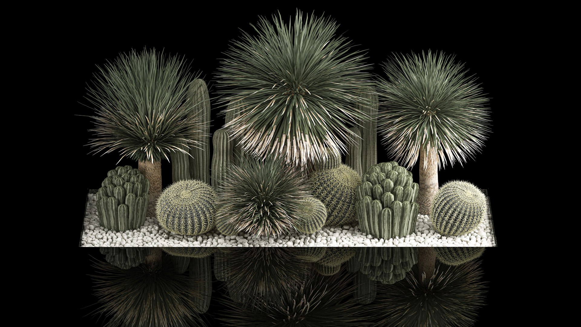 3D model Plants Desert Flowerbed With Cactus https://p.turbosquid.com/ts-thumb/Iz/jMiJWC/4d/1desertplants0806202201/jpg/1654769409/1920x1080/fit_q87/fa1572effdb96ce16aa3c850d1c2df054645e5e9/1desertplants0806202201.jpg