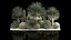 Plants Desert Flowerbed With Cactus