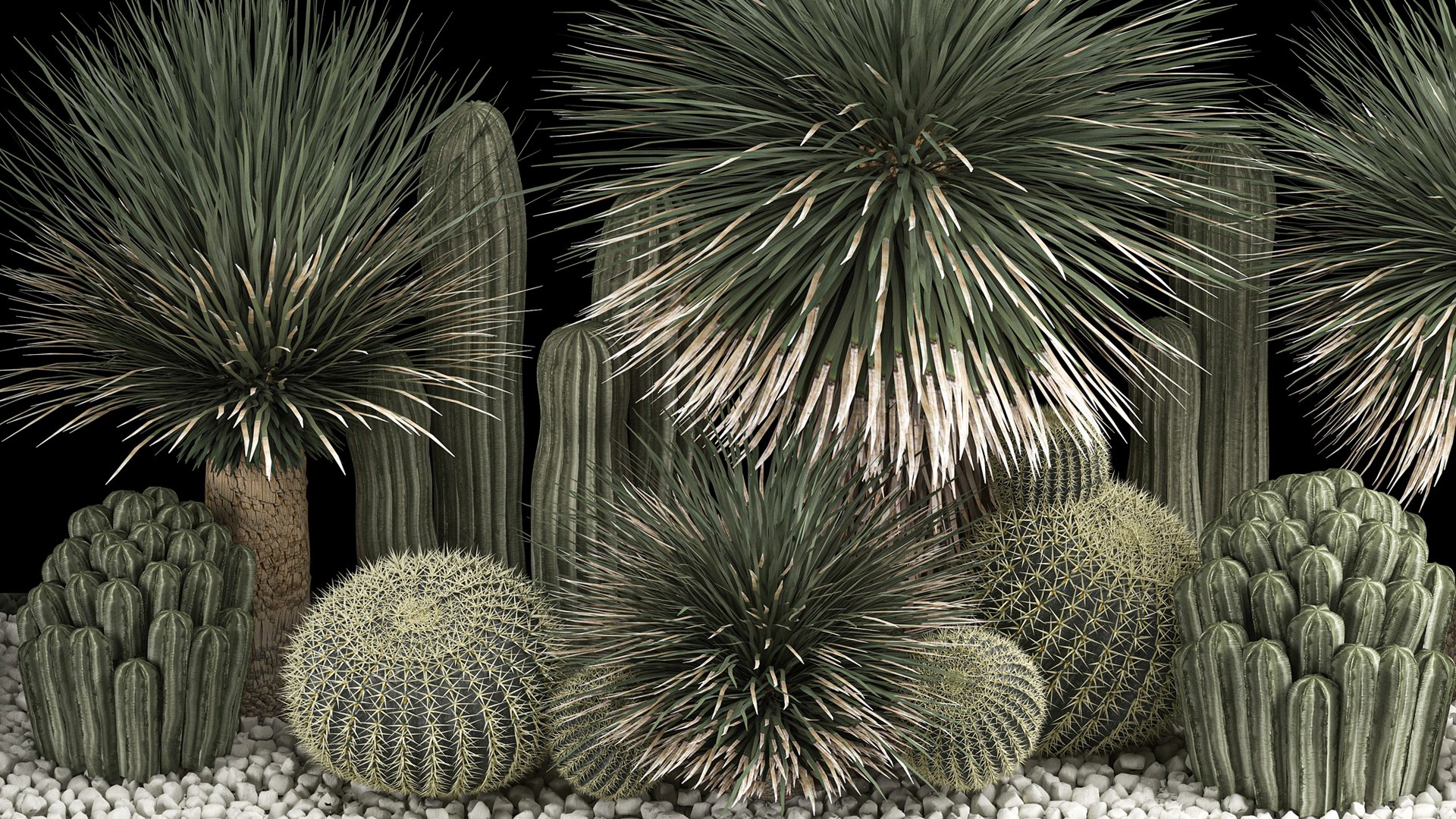 3D model Plants Desert Flowerbed With Cactus https://p.turbosquid.com/ts-thumb/Iz/jMiJWC/9U/1desertplants0806202207/jpg/1654769413/1920x1080/fit_q87/2749c6f18406fe4525eb28c3c243b778c9d9ad19/1desertplants0806202207.jpg