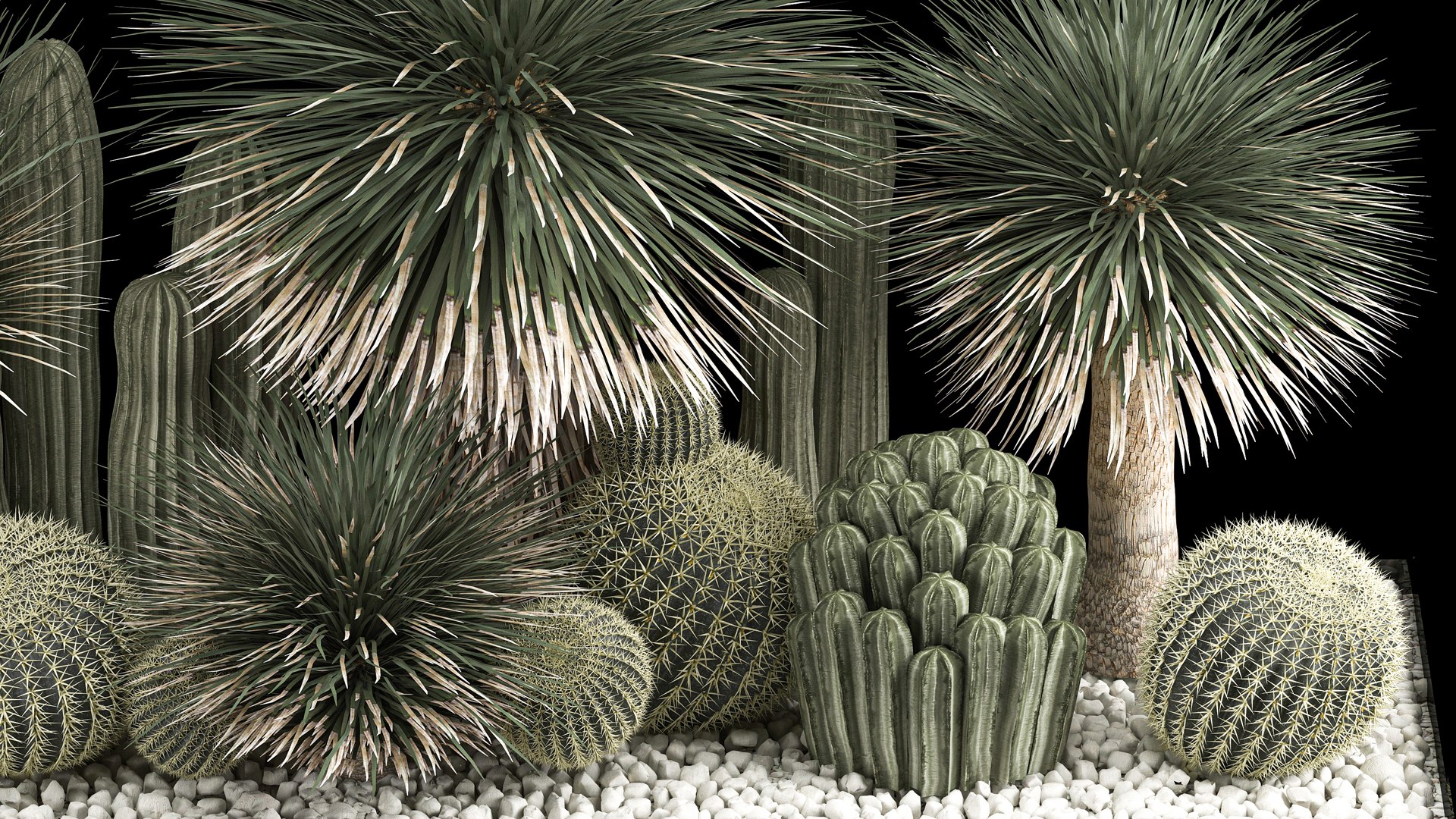 3D model Plants Desert Flowerbed With Cactus https://p.turbosquid.com/ts-thumb/Iz/jMiJWC/C3/1desertplants0806202208/jpg/1654769414/1920x1080/fit_q87/2be42cae0776130098f59b8f97c7d589a0a8cdd2/1desertplants0806202208.jpg